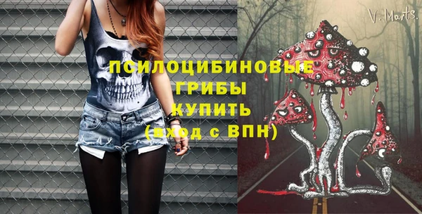 СК Киренск