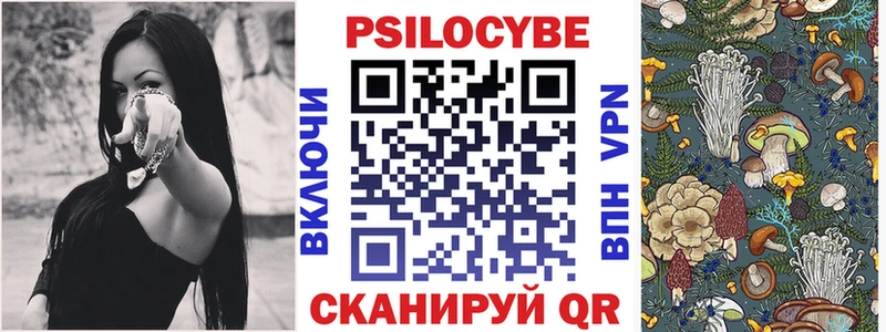 Купить закладки  Моздок  Галлюциногенные грибы Cubensis 